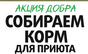 Акция добра по сбору корма для приюта бездомных животных.